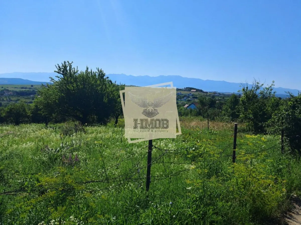Teren Intravilan 960 mp Daia Noua - foto 1