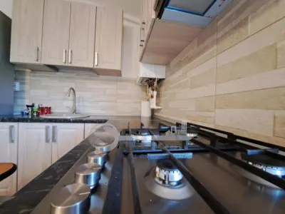 Apartament 2 camere Popas Pacurari Valea Lupului, mobilat complet, parcare inclusa - foto 3