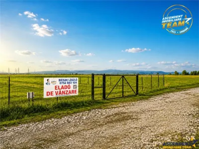Liniste si aer curat in proximitatea Municipiului Sfantu Gheorghe - foto 2