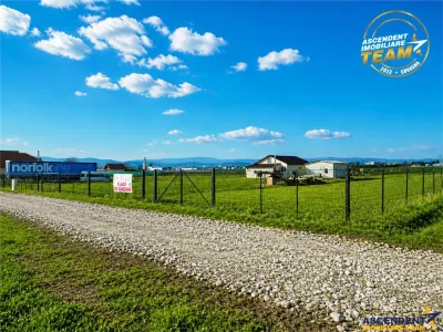 Liniste si aer curat in proximitatea Municipiului Sfantu Gheorghe - foto 6