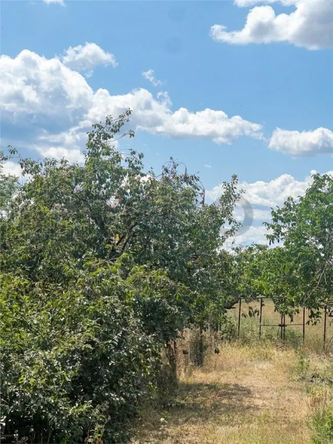 RECO, Casa la tara, Posoloaca, Zona Tileagd - foto 4