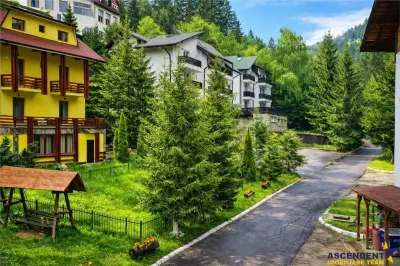 Tur LIVE! Refugiu in ambientul special al statiunii Poiana Brasov - foto 2