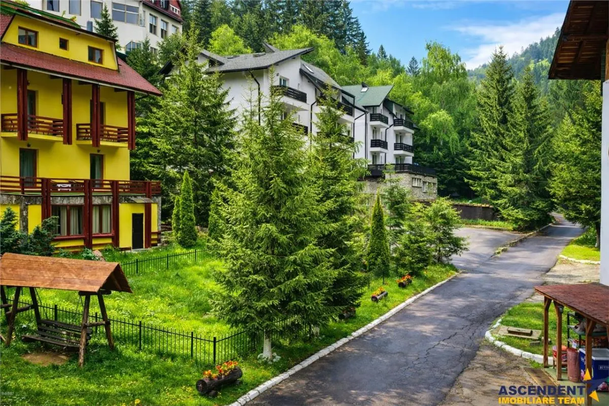 Tur LIVE! Refugiu in ambientul special al statiunii Poiana Brasov - foto 2