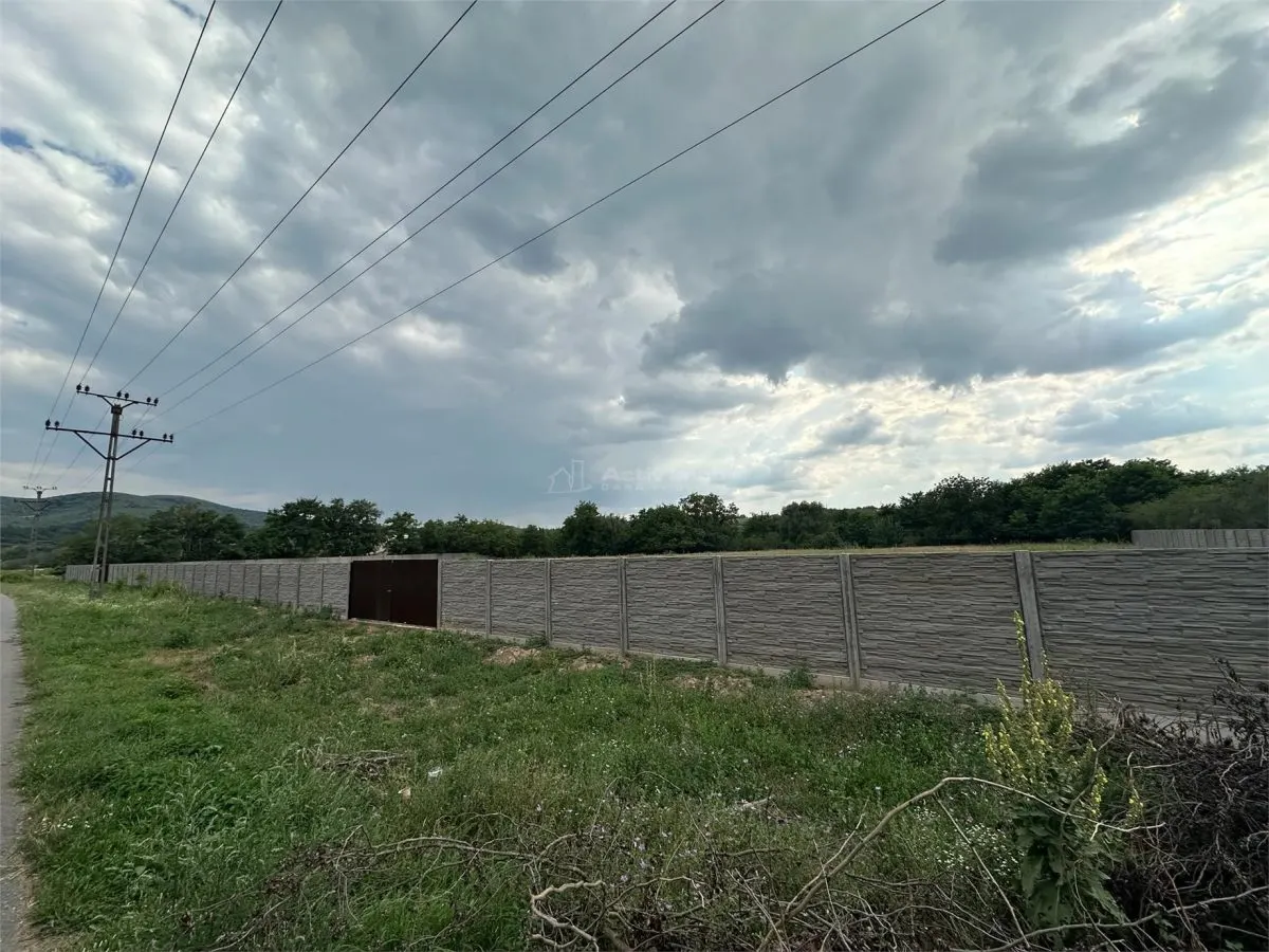Bocsa Romana, De Inchiriat, Teren Intravilan 8.500mp, strada principala - foto 8