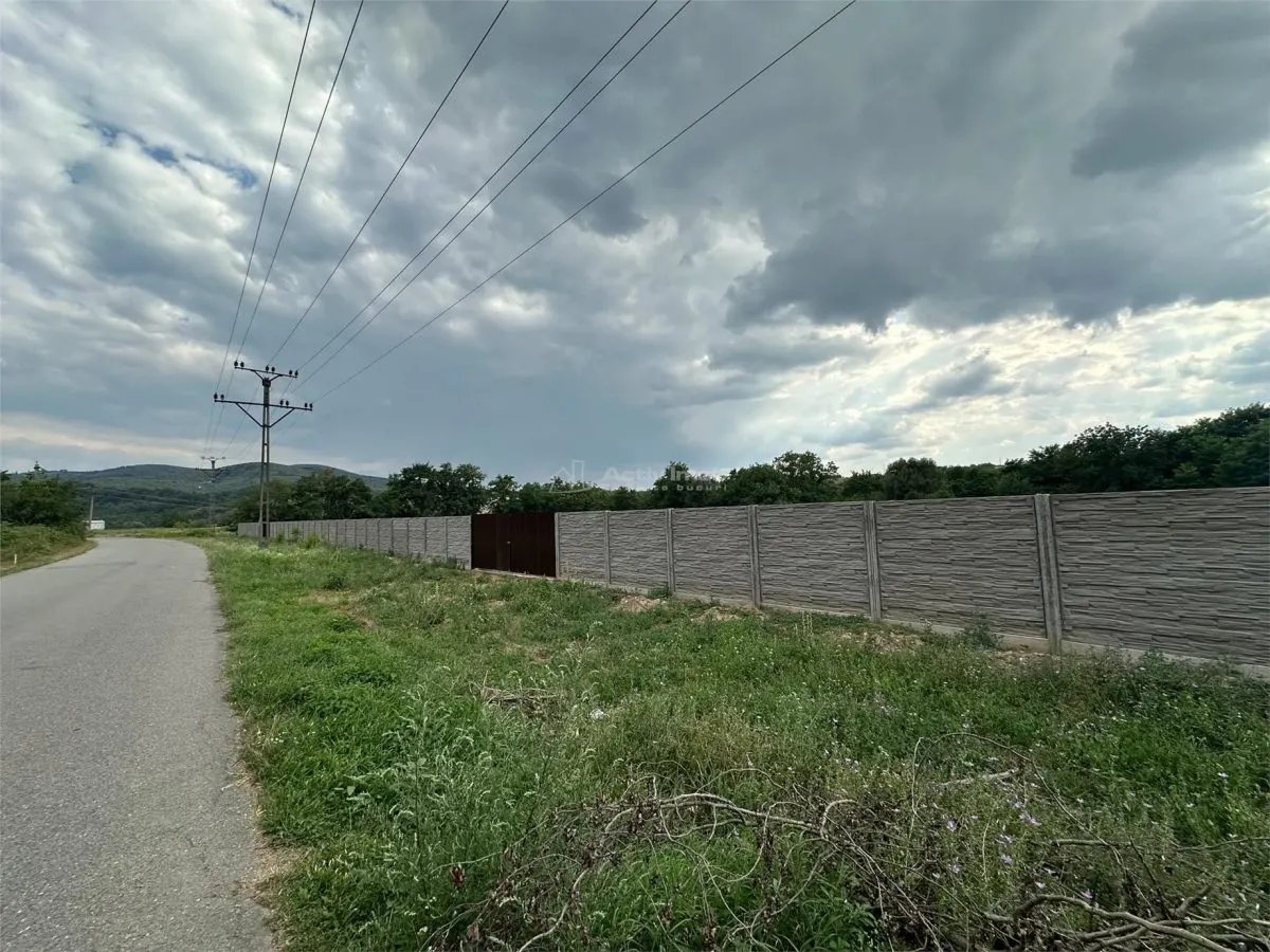 Bocsa Romana, De Inchiriat, Teren Intravilan 8.500mp, strada principala - foto 9