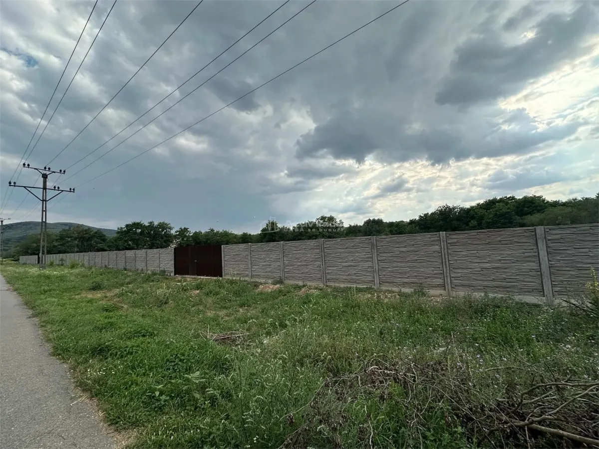 Bocsa Romana, De Inchiriat, Teren Intravilan 8.500mp, strada principala - foto 10