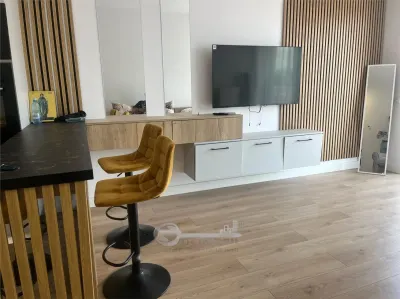 Apartament 2 camere SILK DISTRICT-- 530 EURO - foto 6