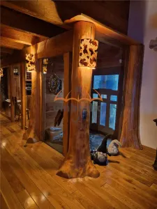 Chalet de Lux în Unguras - foto 3