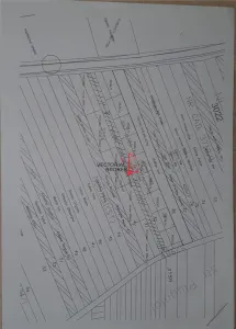 Vanzare teren Branesti Ilfov, 451mp - foto 3