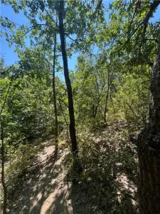 RECO Teren extravilan Lazareni 21300 mp - foto 3