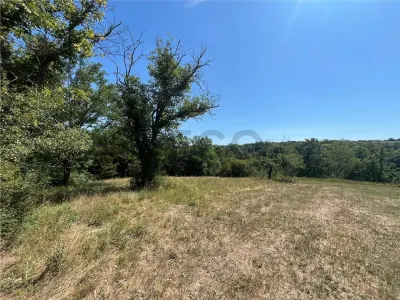 RECO Teren extravilan Lazareni 21300 mp - foto 5
