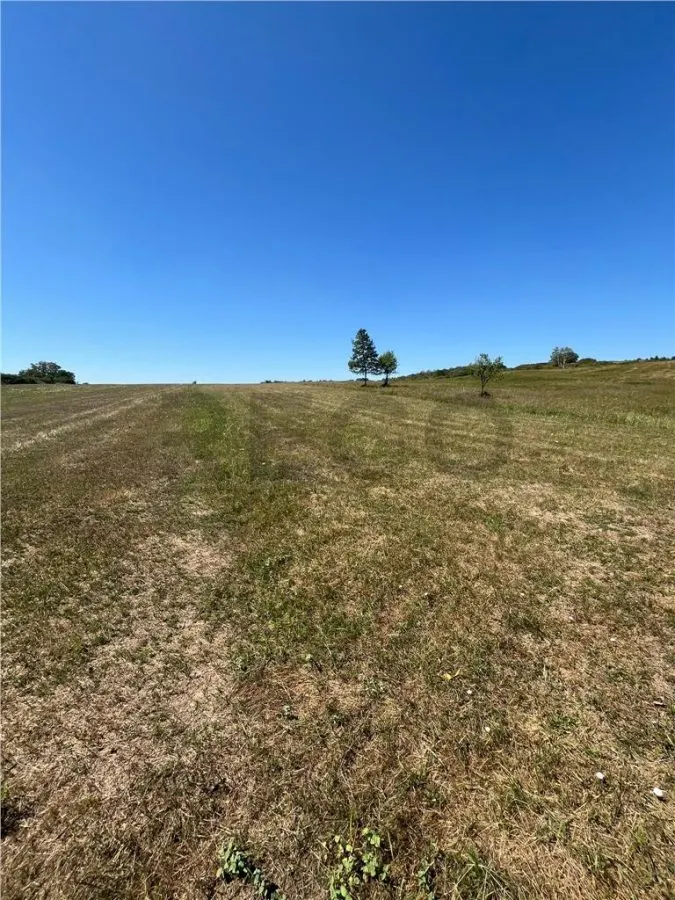 RECO Teren extravilan Lazareni 21300 mp - foto 6