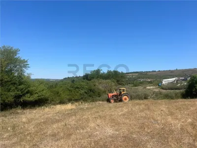 RECO Teren extravilan Holod 27400 mp - Holod