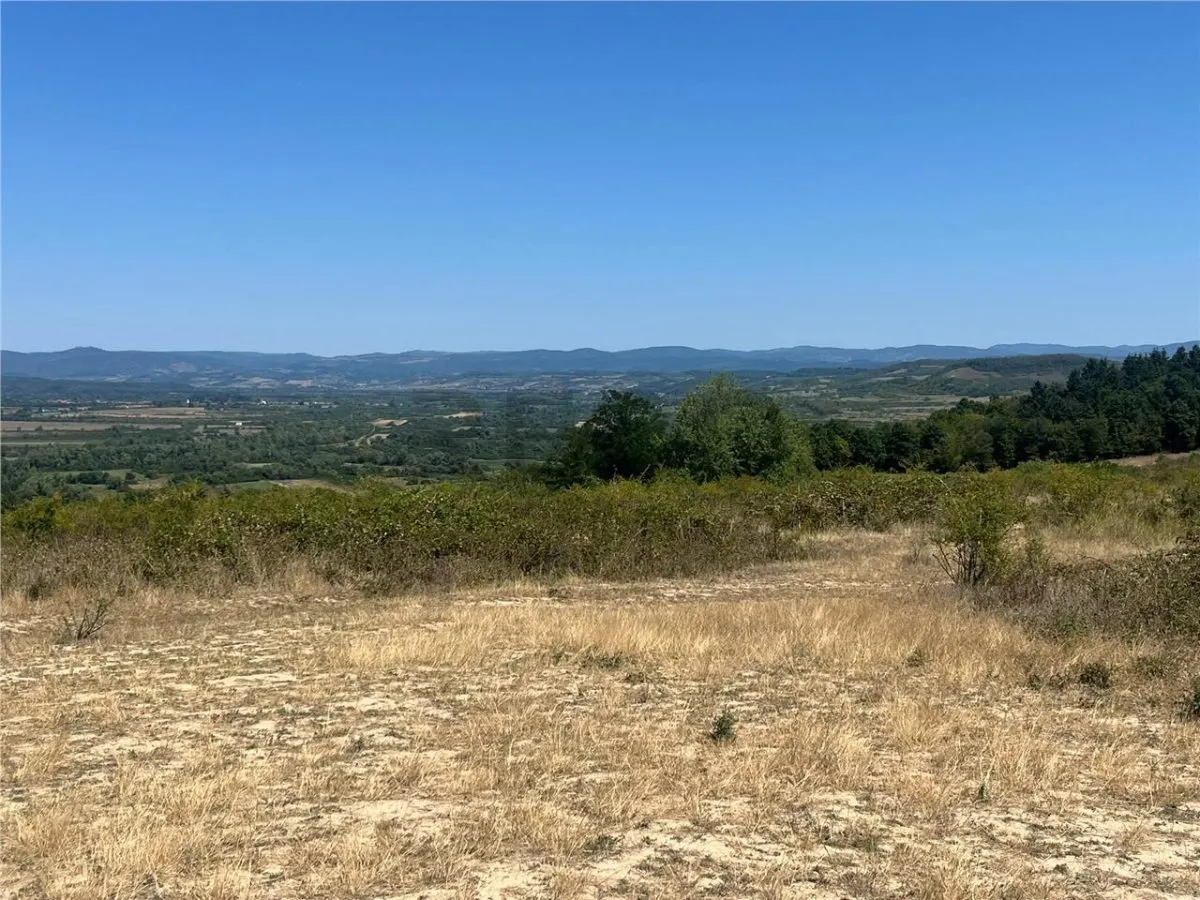 RECO Teren extravilan Holod 27400 mp - foto 11