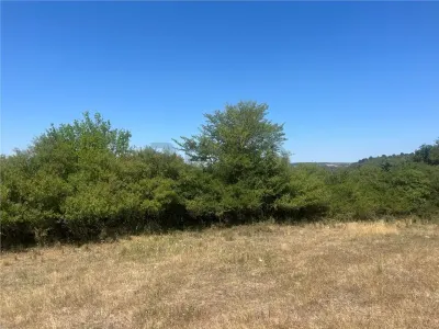 RECO Teren extravilan Holod 27400 mp - foto 3