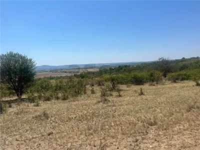 RECO Teren extravilan Holod 27400 mp - foto 5