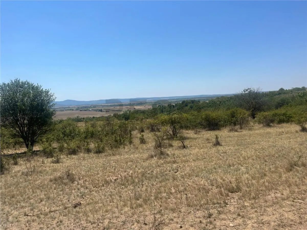 RECO Teren extravilan Holod 27400 mp - foto 5