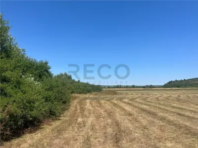 RECO Teren extravilan Holod 27400 mp - foto 7