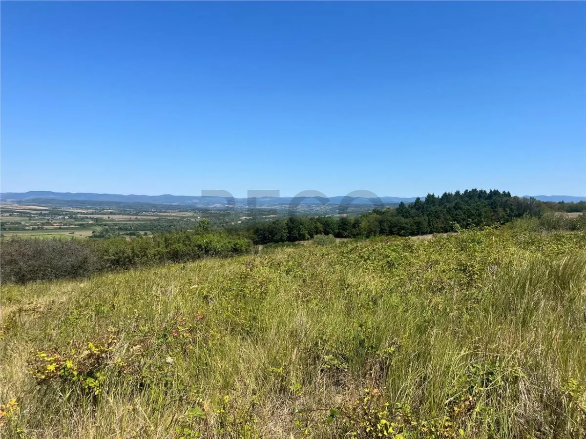 RECO Teren extravilan Holod 27400 mp - foto 8