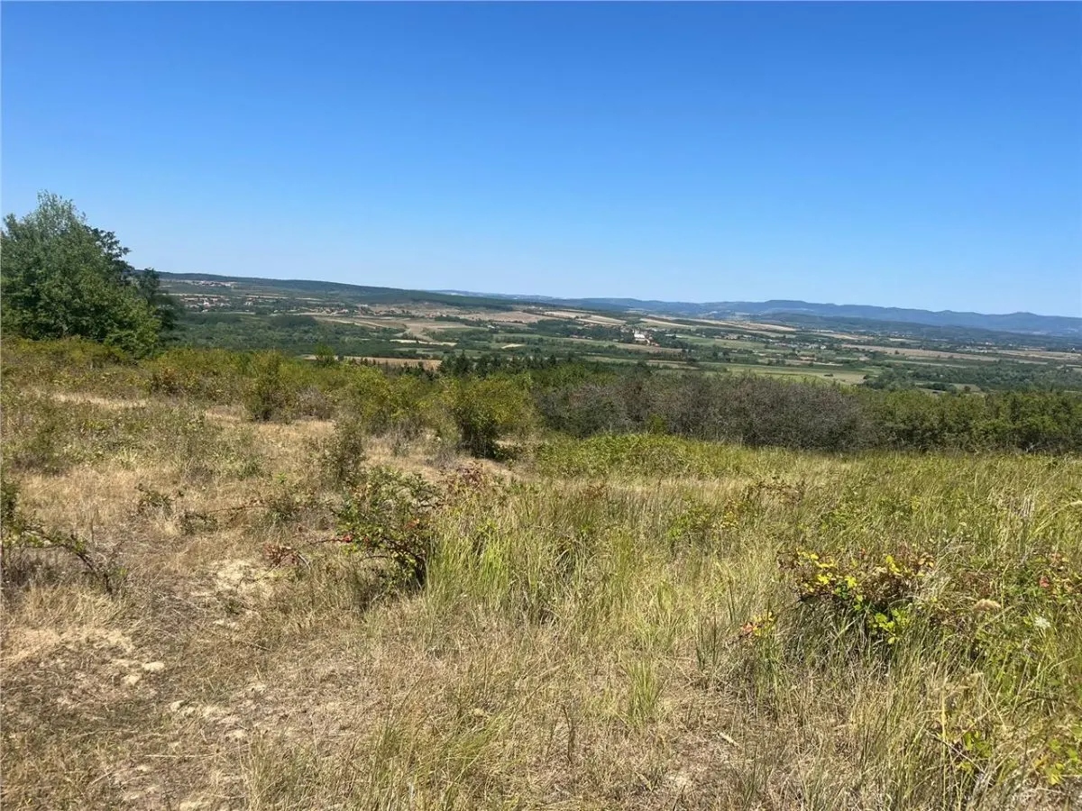 RECO Teren extravilan Holod 27400 mp - foto 9