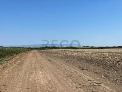 RECO Teren extravilan Tulca 18100 mp - foto 5