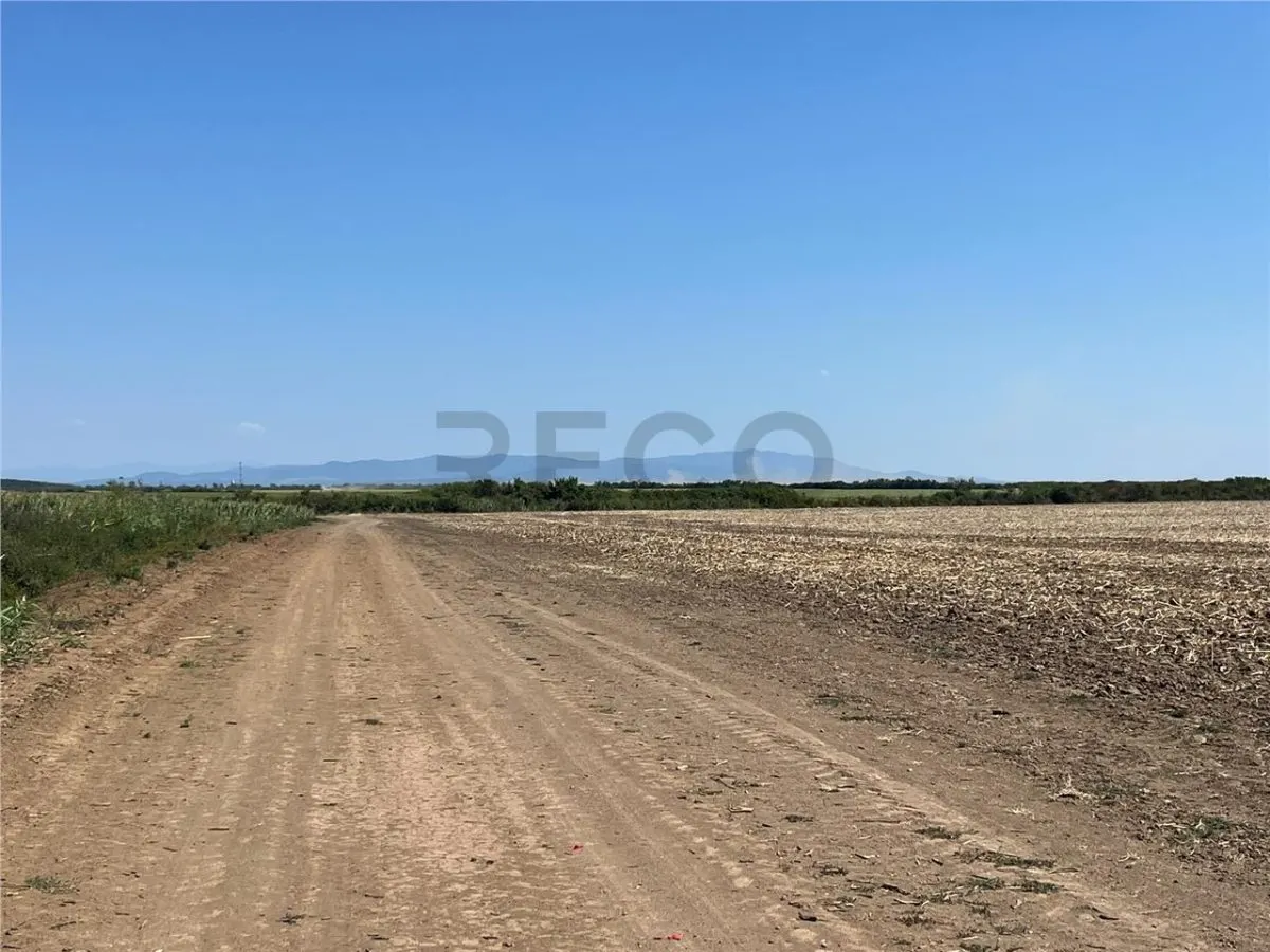 RECO Teren extravilan Tulca 18100 mp - foto 5