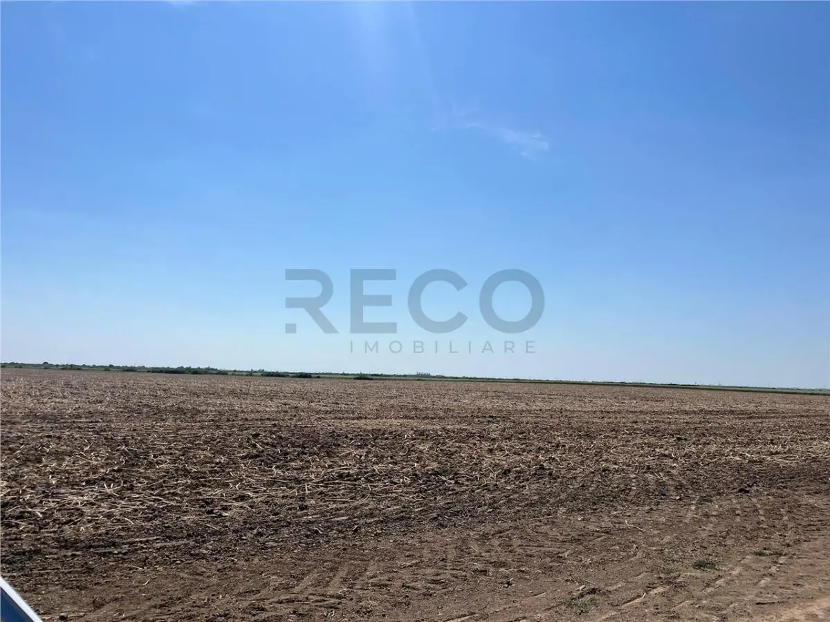 RECO Teren extravilan Tulca 18100 mp - foto 10