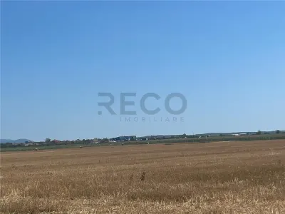 RECO Teren extravilan Ucuris- Olcea 44 000 mp - Olcea