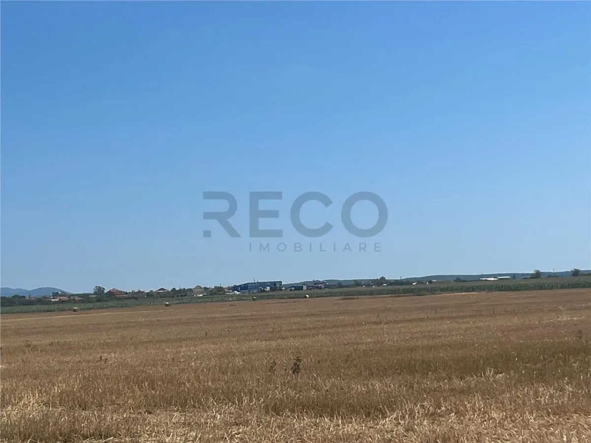 RECO Teren extravilan Ucuris- Olcea 44 000 mp - foto 1