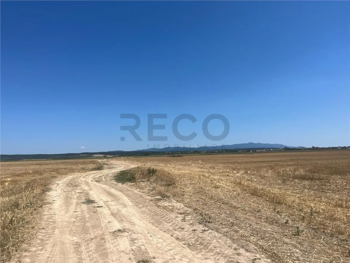 RECO Teren extravilan Ucuris- Olcea 44 000 mp - foto 2