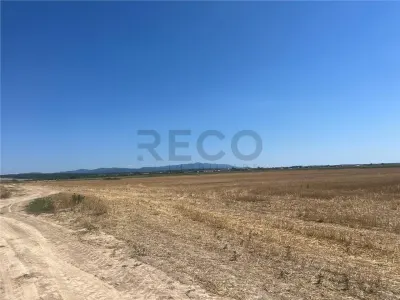 RECO Teren extravilan Ucuris- Olcea 44 000 mp - foto 3