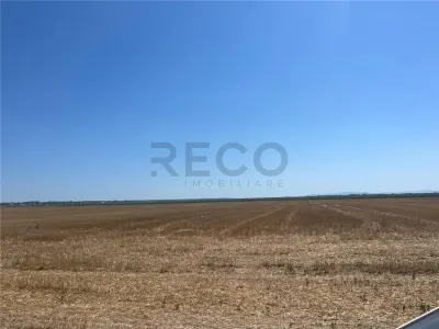 RECO Teren extravilan Ucuris- Olcea 44 000 mp - foto 4