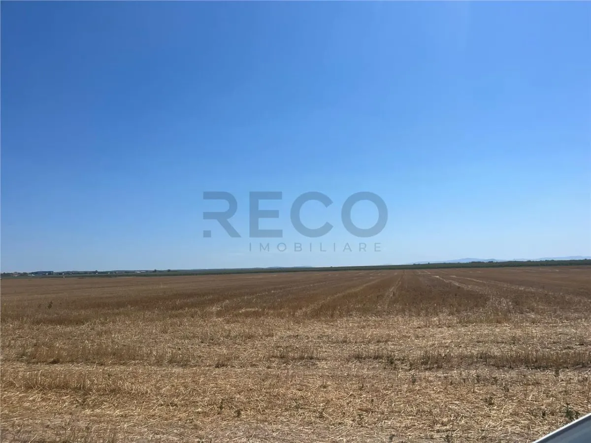 RECO Teren extravilan Ucuris- Olcea 44 000 mp - foto 4