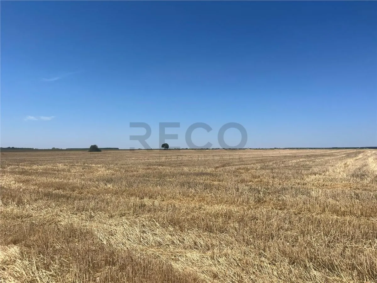 RECO Teren extravilan Ucuris- Olcea 44 000 mp - foto 5
