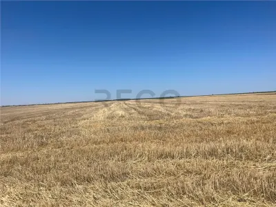 RECO Teren extravilan Ucuris- Olcea 44 000 mp - foto 6