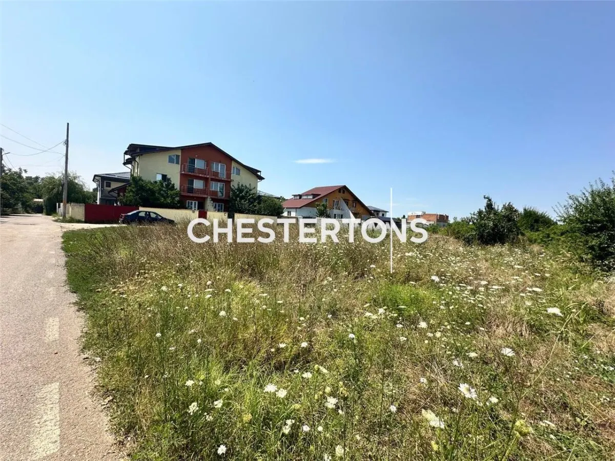 Teren de vanzare- Domnesti/ Doua loturi disponibile / 100euro mp - foto 2