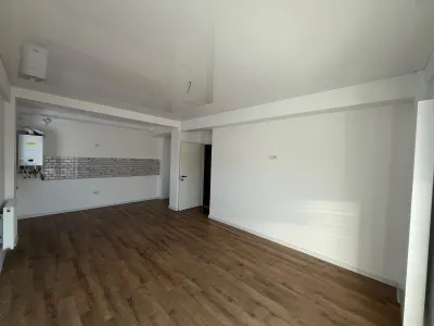 Apartament 2 camere, open-space, Bucium-Visan, 0% comision, intabulat - foto 5