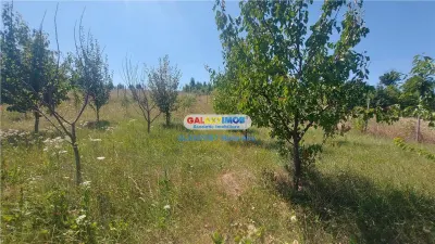 Casa P+M 150 mp. si teren 2000 mp., Manastirea Doamnei! - foto 12