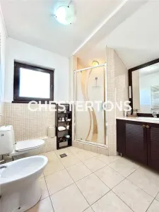 Inchiriere vila eleganta in Otopeni Odaile/ Confort premium/intimitate si acces rapid catre Bucuresti - foto 22