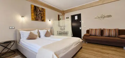 Studio Premium 40mp | balcon | Zona Central | Inchiriere flexibila - foto 4
