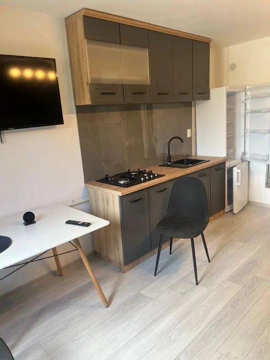 Apartament Recent Renovat | Podu Ros  | 2 Bai - foto 1