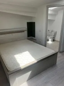 Apartament Recent Renovat | Podu Ros  | 2 Bai - foto 8