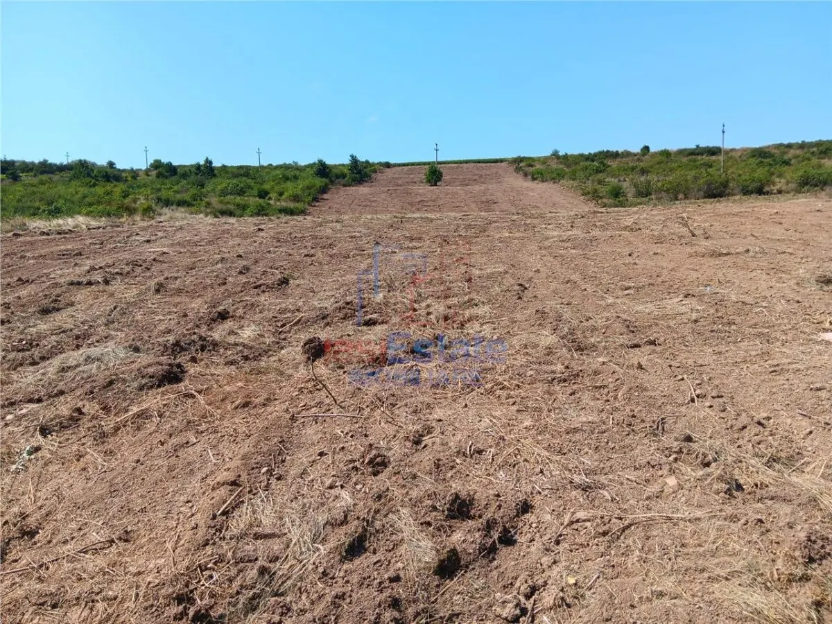 Ocazie! Sorogari TEREN 10000mp intravilan PUZ realizat si  toate utilitatile - foto 4
