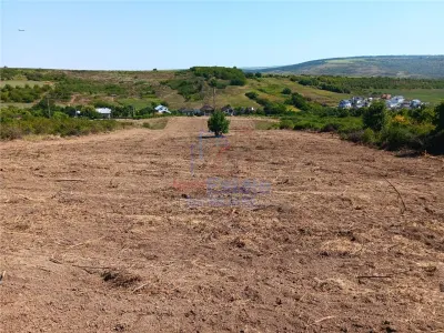 Ocazie! Sorogari TEREN 10000mp intravilan PUZ realizat si  toate utilitatile - foto 5
