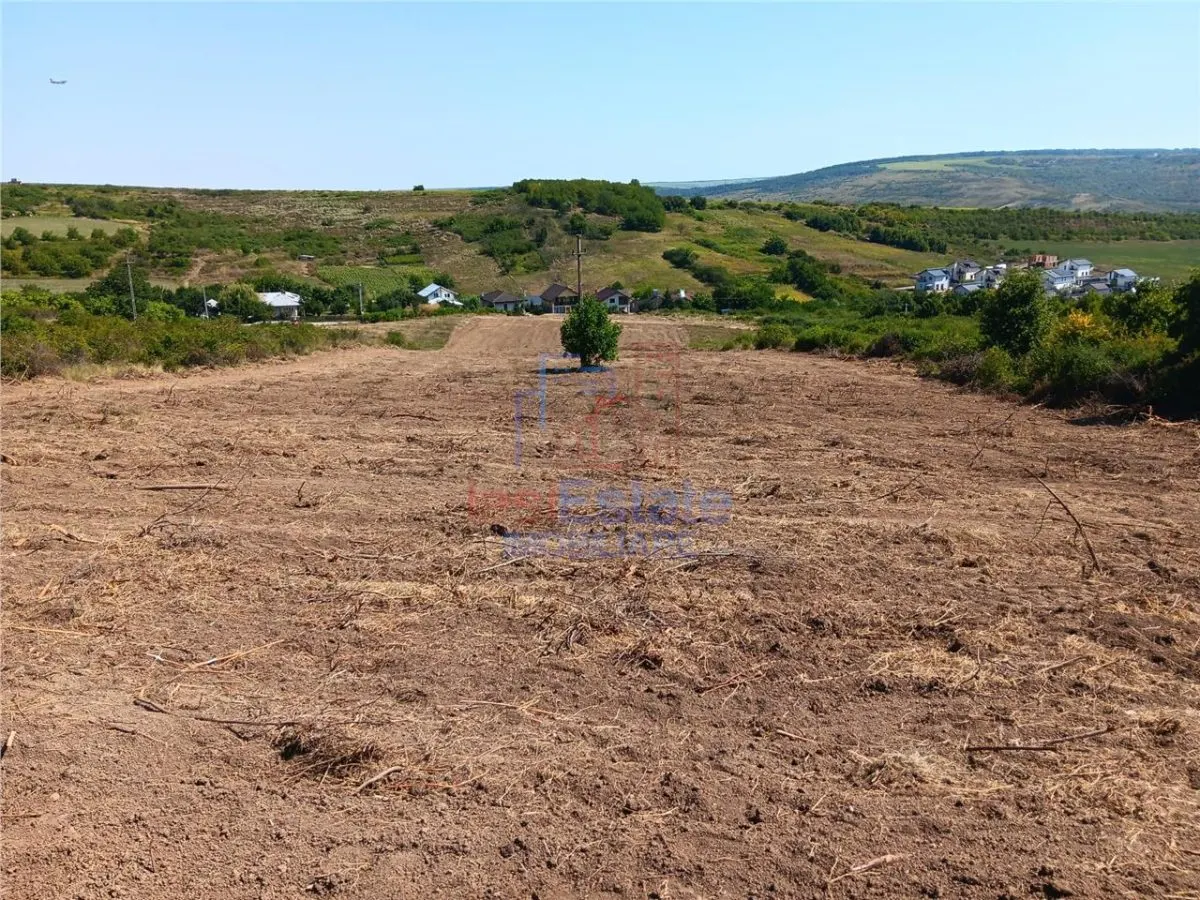 Ocazie! Sorogari TEREN 10000mp intravilan PUZ realizat si  toate utilitatile - foto 5