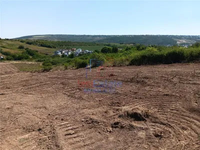 Ocazie! Sorogari TEREN 10000mp intravilan PUZ realizat si  toate utilitatile - foto 7