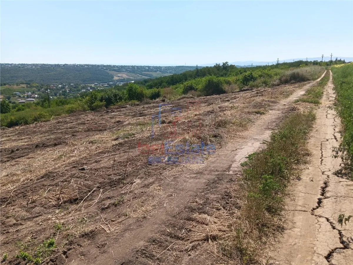 Ocazie! Sorogari TEREN 10000mp intravilan PUZ realizat si  toate utilitatile - foto 10