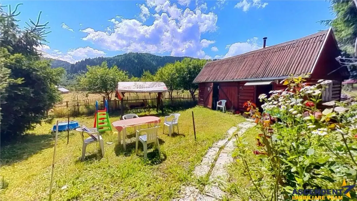 3D&FILM! Refugiu de vacanta, in pitorescul cadru: Lunca Bradului, Mures - foto 22
