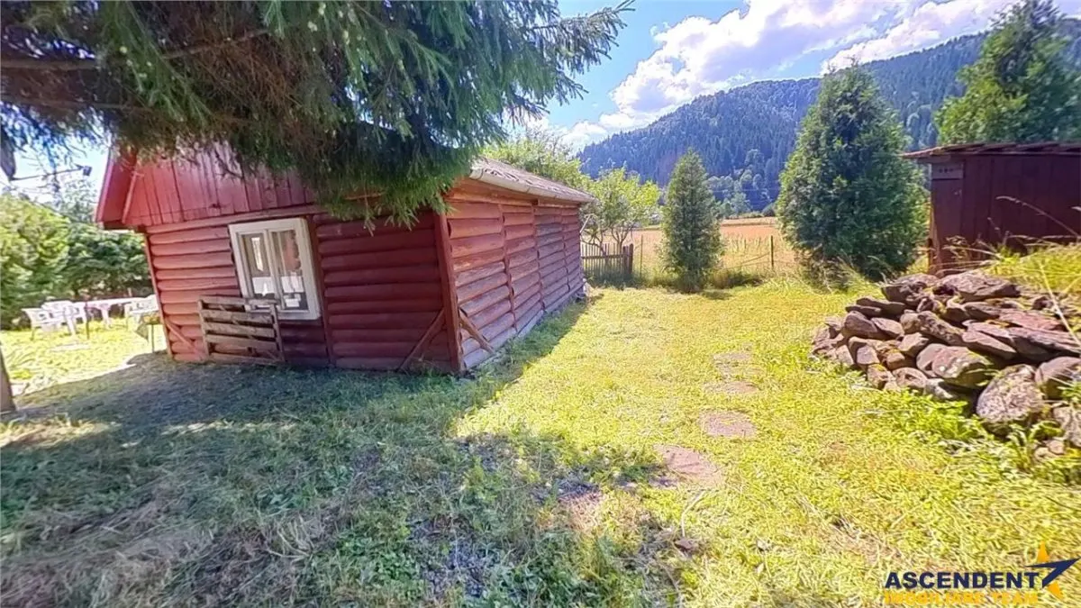 3D&FILM! Refugiu de vacanta, in pitorescul cadru: Lunca Bradului, Mures - foto 24