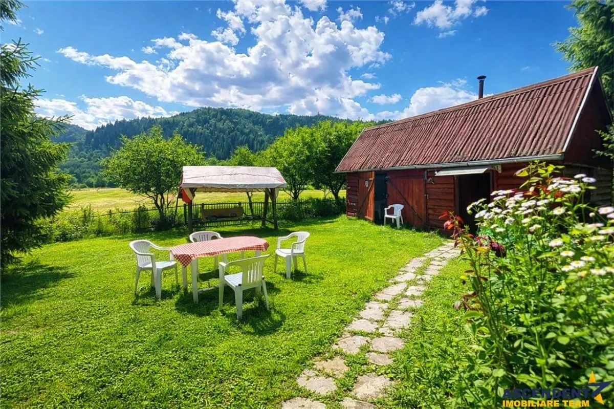 3D&FILM! Refugiu de vacanta, in pitorescul cadru: Lunca Bradului, Mures - foto 4